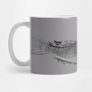 Big gray fish. Wanted. Mug